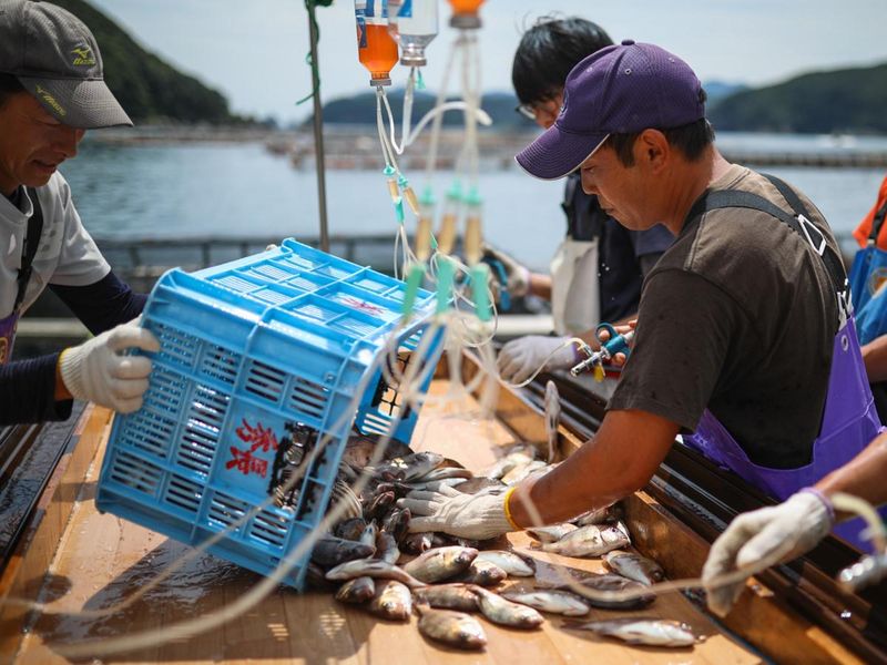 松田医薬品株式会社