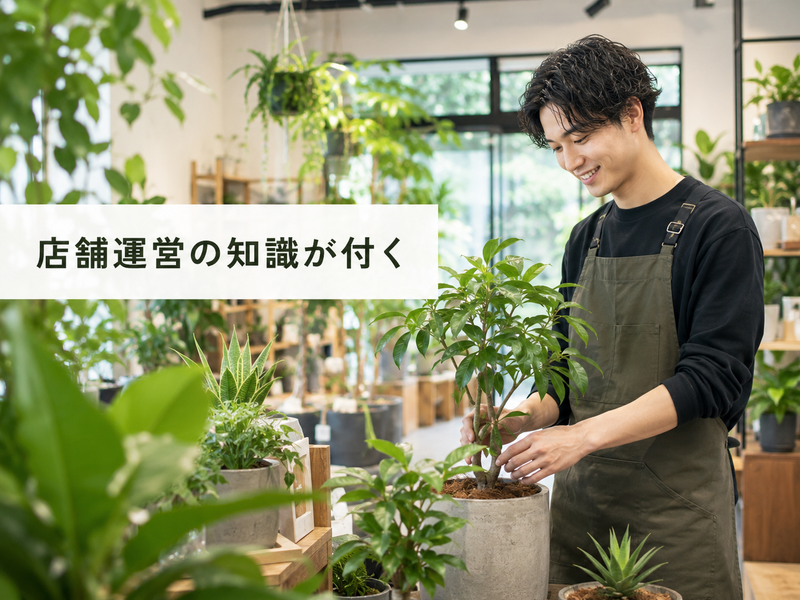 株式会社ｉｏｌｉｔｅ　ｆｌｏｗｅｒｓの求人・転職情報