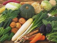 有限会社菅井商店