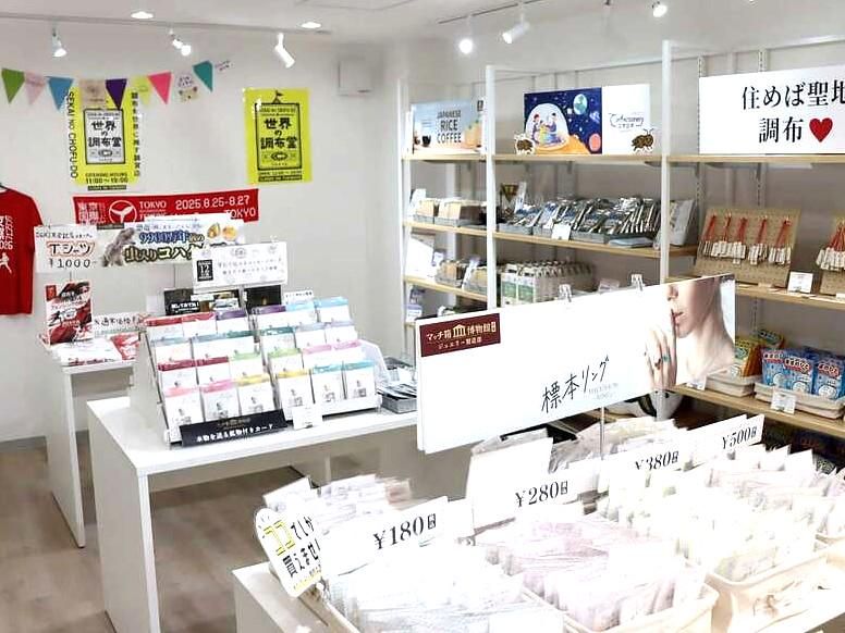 株式会社アムスコーポレーションの求人・転職情報