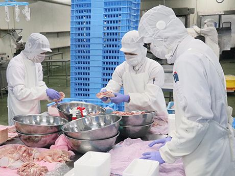 生活協同組合コープかごしまの求人・転職情報