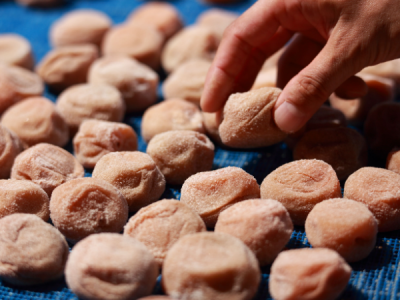 株式会社おうすの里の求人・転職情報