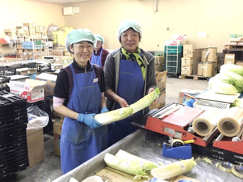 株式会社ケー・エム・フレッシュの求人・転職情報