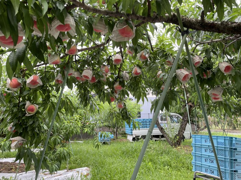 紀のファーム株式会社のアルバイト・バイト求人情報-05