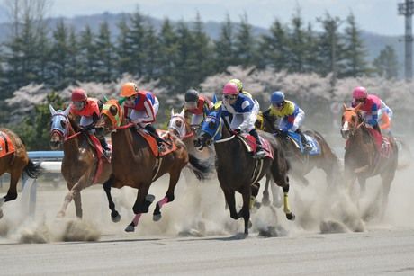 日本トーター　金沢競馬場の求人4