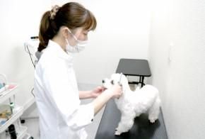 ONE株式会社　ワンルーク 大阪住吉区東田辺店のアルバイト・バイト求人情報-03