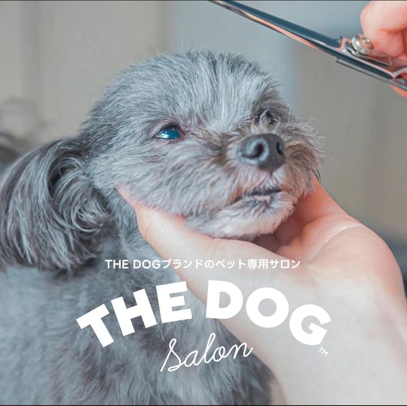 THE DOG Salon 世田谷のアルバイト・バイト求人情報-03