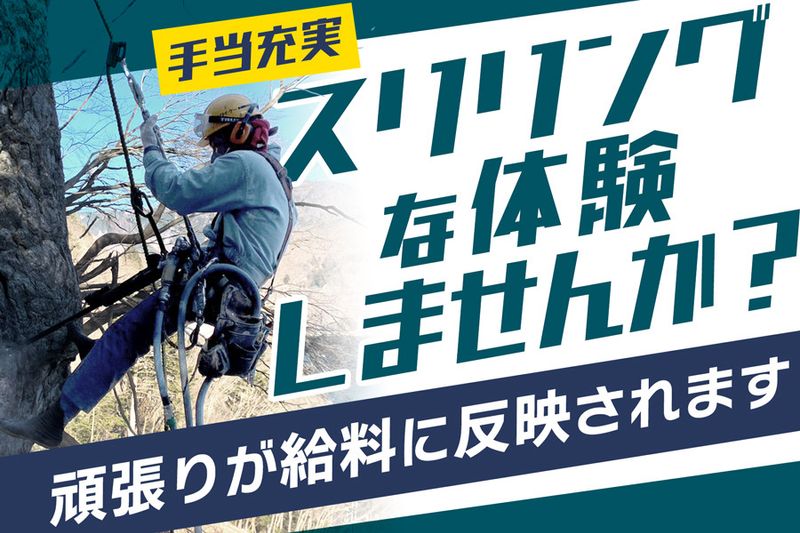 株式会社エヌ・ワイ・ケーの求人・転職情報