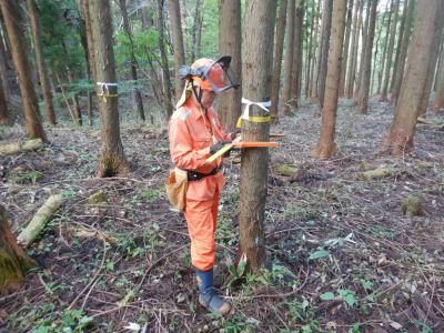 飯舘村森林組合の求人情報