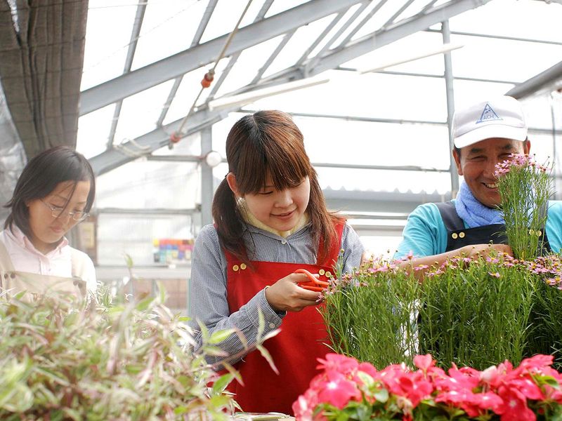 有限会社　角田ナーセリーのアルバイト・バイト求人情報-04