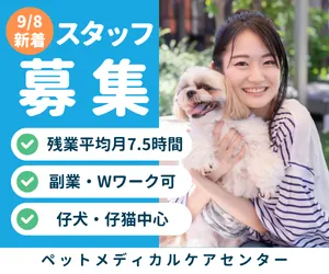 株式会社ベッツリンクの求人・転職情報