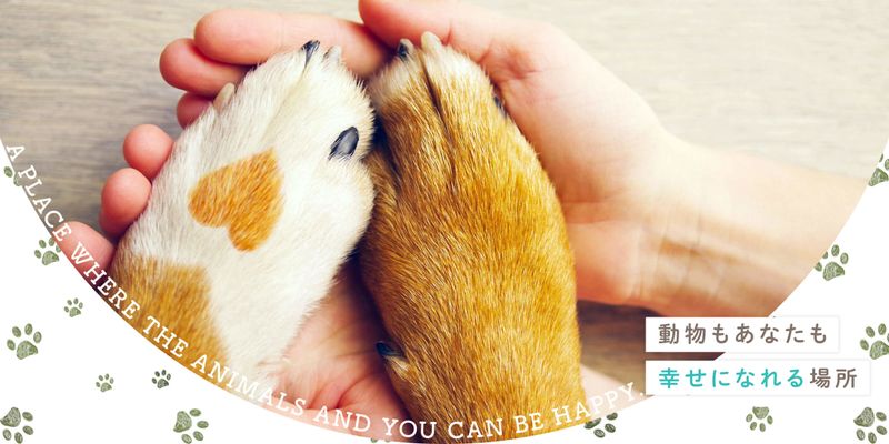 おがわ動物病院のアルバイト・バイト求人情報-02