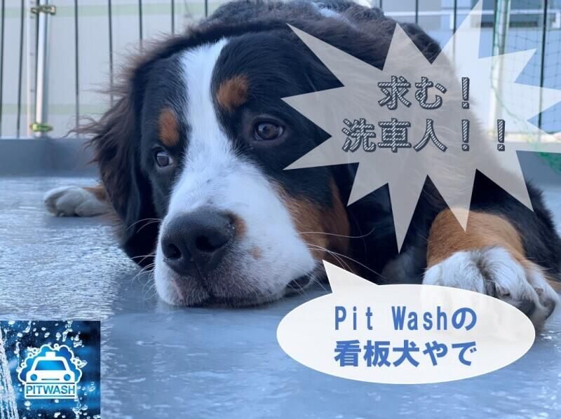 株式会社Pit Washの求人・転職情報