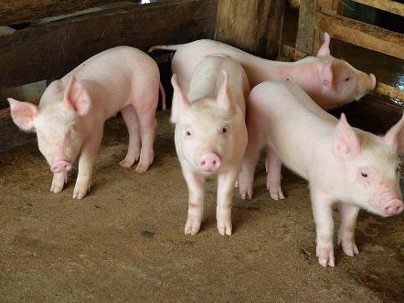 株式会社グッドモーニング沖縄のアルバイト・バイト求人情報-27