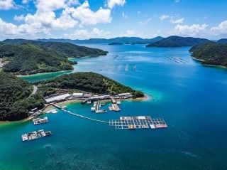 株式会社マルハニチロAQUA_奄美事業所 篠川漁場の求人・転職情報