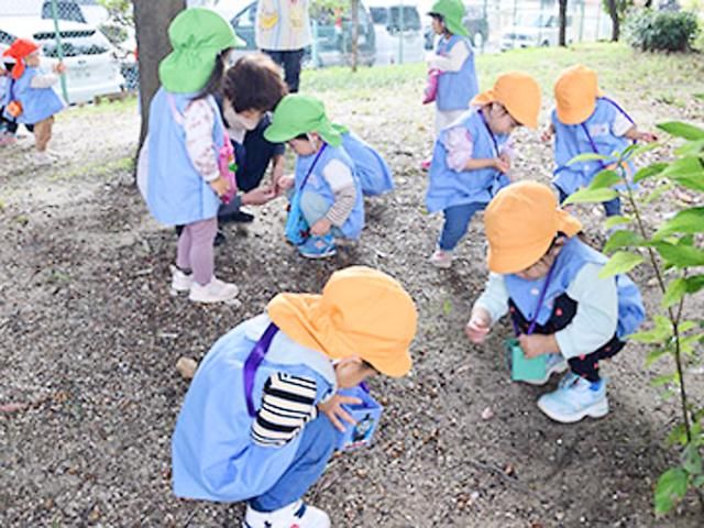 社会福祉法人 なみはや福祉会-0036の求人・転職情報