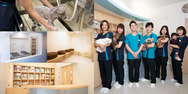 PETS BUDDY 株式会社の求人・転職情報