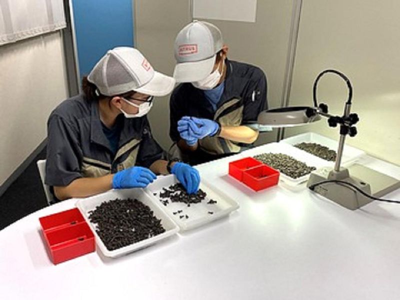 株式会社ビトラスの求人・転職情報