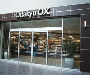 Odakyu OX X