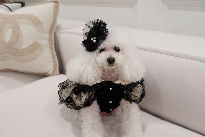 株式会社岩波の求人・転職情報