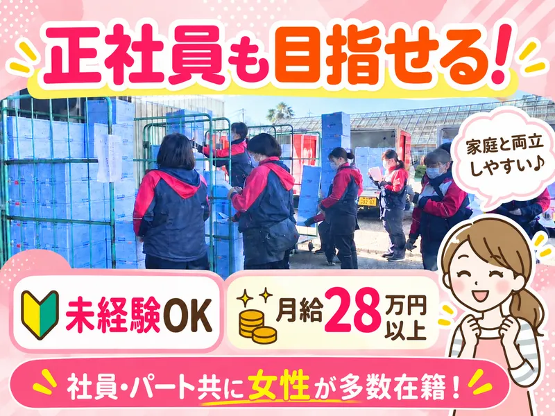 株式会社ヨシケイ松戸 パッケージセンターの求人・転職情報