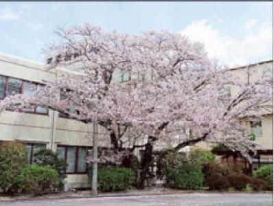 医療法人香風会　黒野病院のアルバイト・バイト求人情報-03
