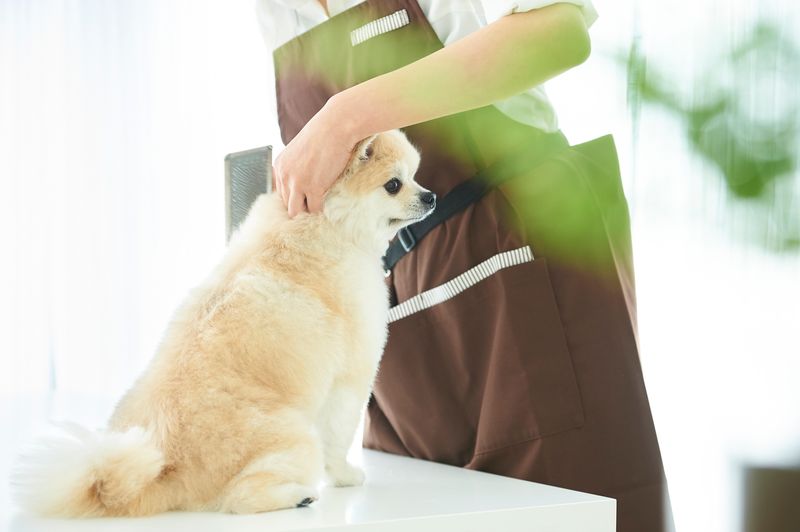 合同会社Ｉ　Ｗａｎの求人・転職情報