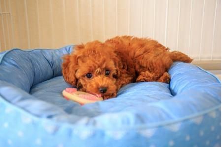 あみプレミアムアウトレットのアルバイト・バイト求人情報-04