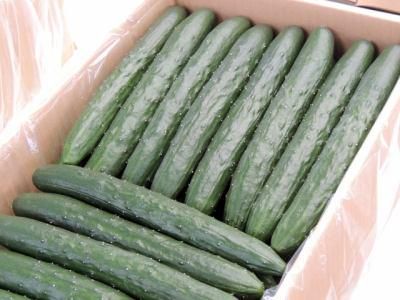 有限会社木村商事のアルバイト・バイト求人情報-03