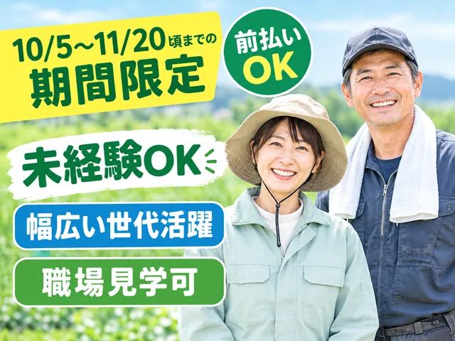 株式会社ピース　ピーススタッフのアルバイト・バイト求人情報