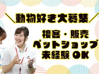 ペットの専門店コジマ　GRAND東日本橋店のアルバイト・バイト求人情報-18
