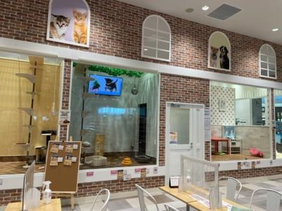 Pet Shop パレハ行橋店のアルバイト・バイト求人情報-04
