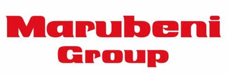 丸紅I-DIGIOホールディングス株式会社の求人・転職情報