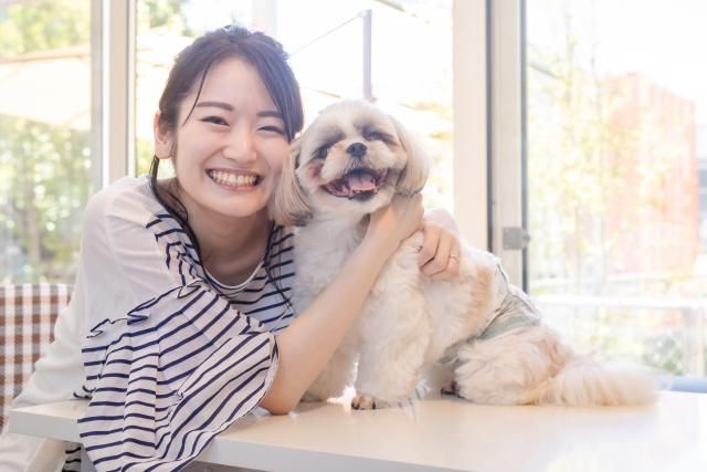 株式会社あきるの動物病院の求人・転職情報