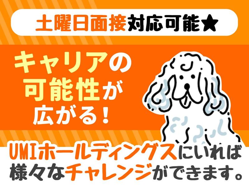 UMIホールディングス株式会社の求人・転職情報