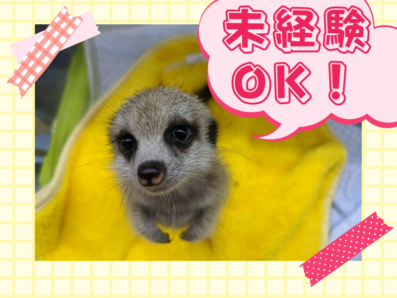 ペッツワン　名古屋大高インター店のアルバイト・バイト求人情報-02