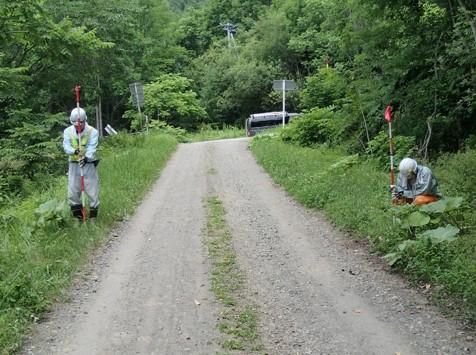 株式会社ズコーシャの求人・転職情報