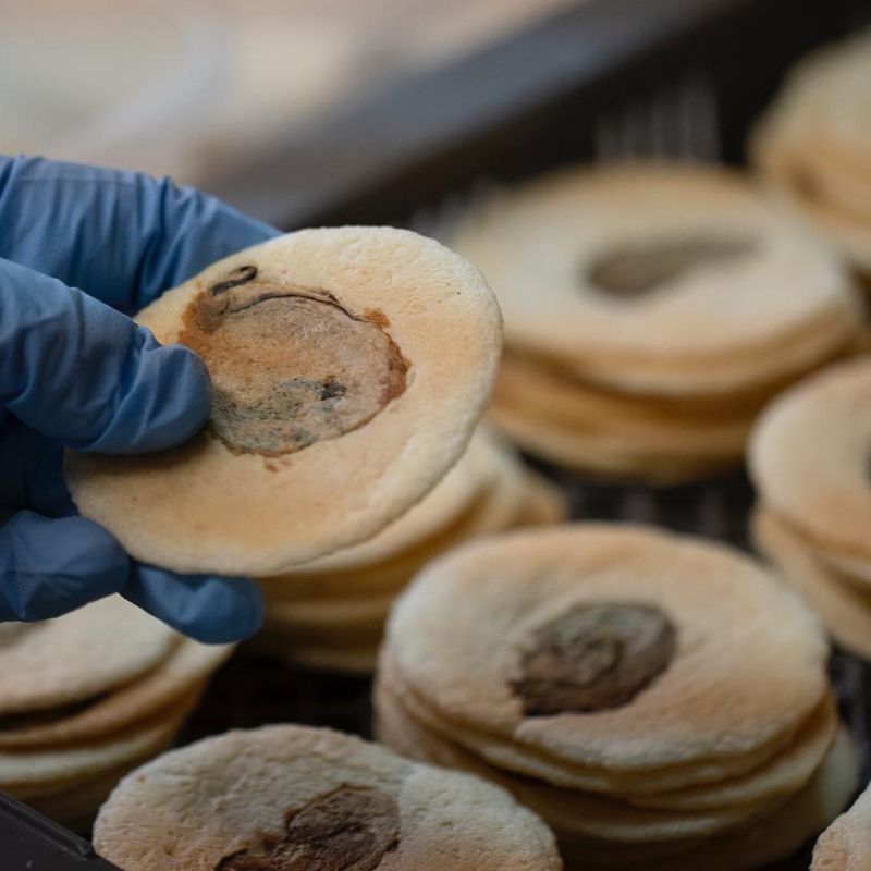 有限会社マルイチ商店の求人・転職情報