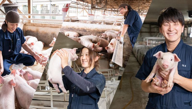 株式会社木野内ファームの求人・転職情報