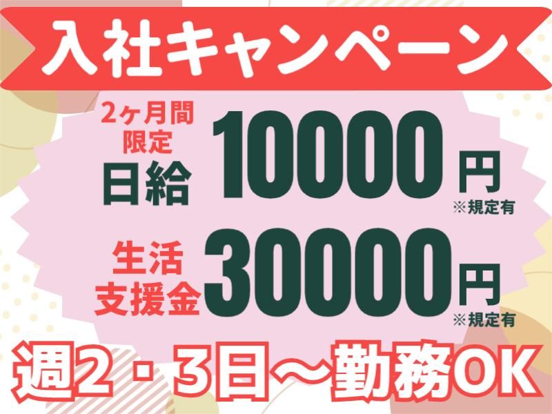 株式会社パルズパートナー