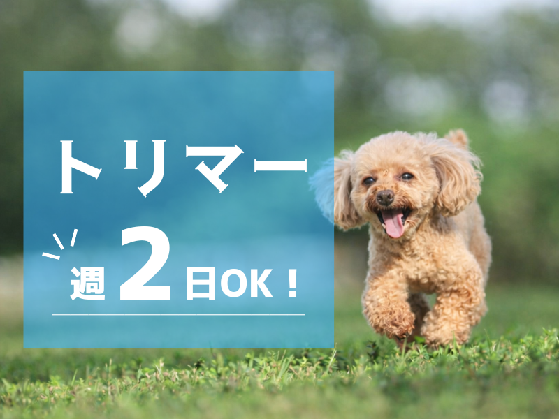 合同会社Ｉ　Ｗａｎの求人・転職情報