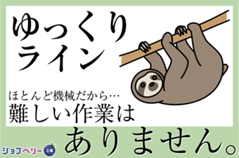 シーデーピージャパン株式会社