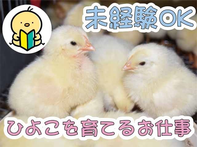株式会社境野養鶏の求人・転職情報