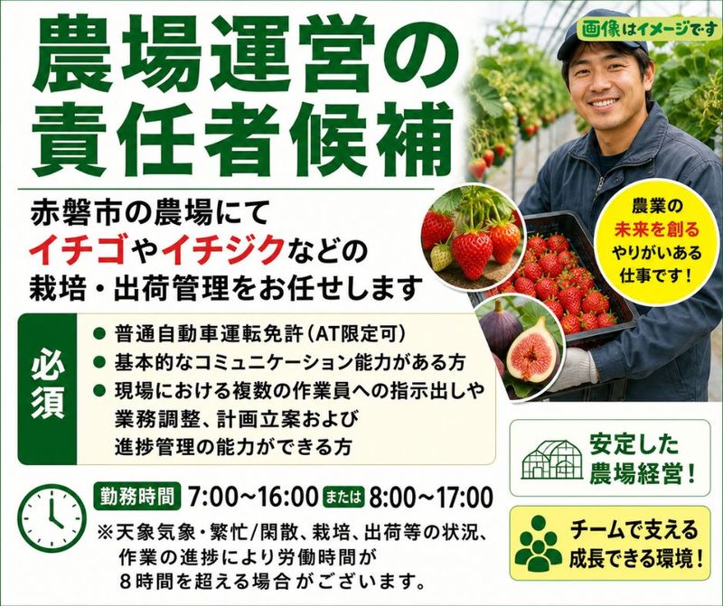 株式会社成通・ソフトシステムズの求人・転職情報