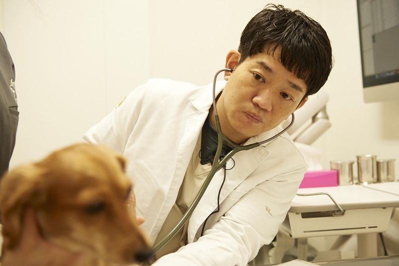 はるひな動物病院のアルバイト・バイト求人情報-02