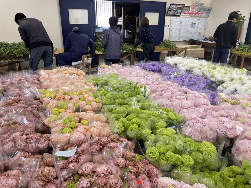 株式会社さくらファームの求人・転職情報