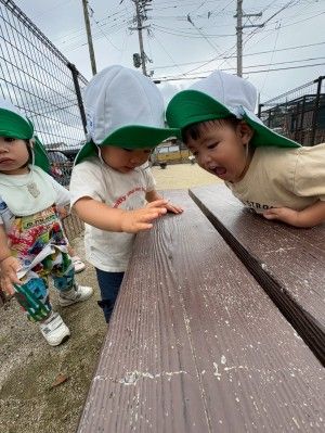 株式会社WINGSの求人・転職情報