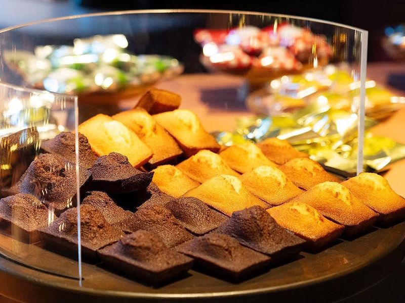 株式会社DADACAの求人・転職情報