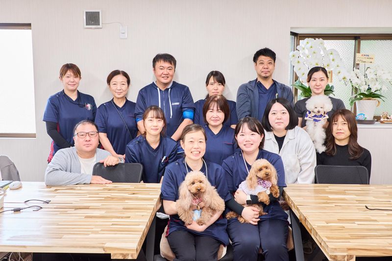 ｓｔｅｌｌａ８３株式会社の求人・転職情報
