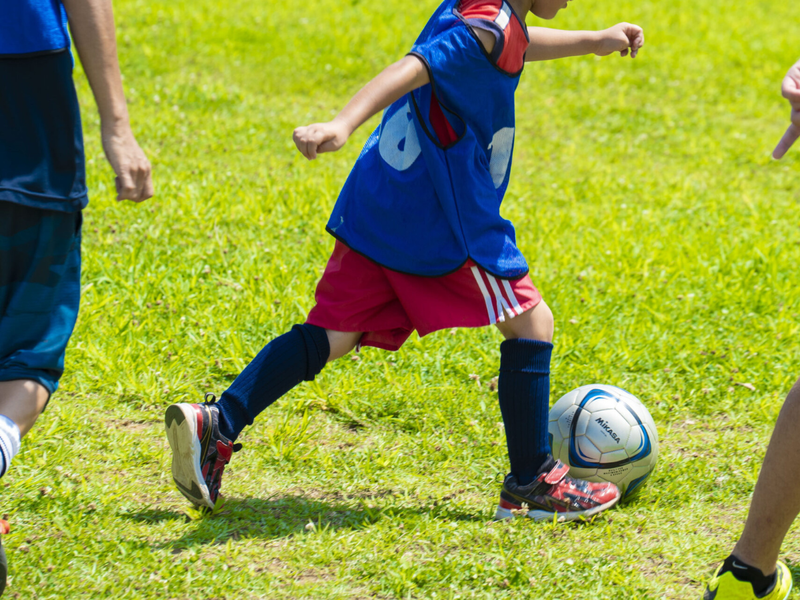 株式会社カルチウインドの求人・転職情報